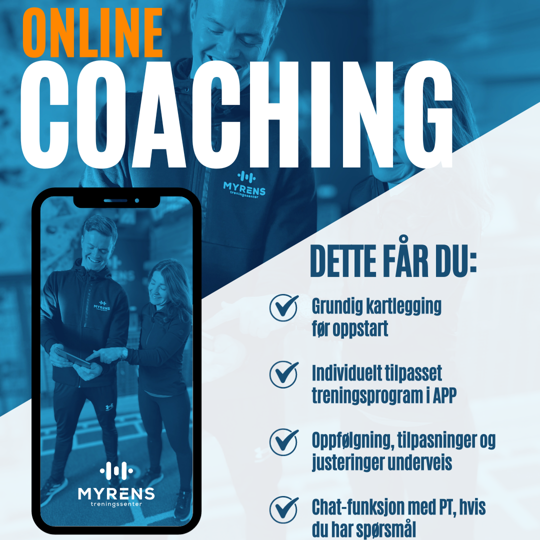 Online Coaching kvadratisk